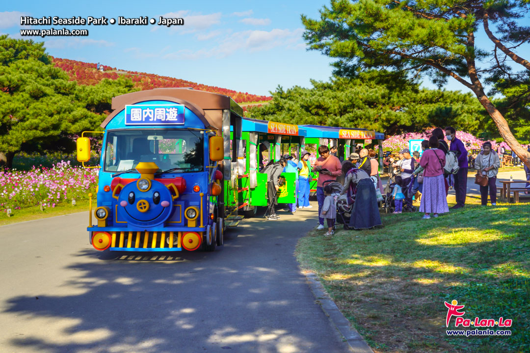 Hitachi Seaside Park